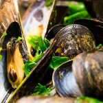 geed-friendly mussels